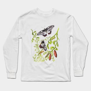 Dainty Swallowtail Butterfly Life Cycle on Native Lime - Dark Background Long Sleeve T-Shirt